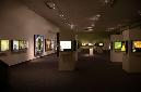 Wasp_exhibition__DSC3533